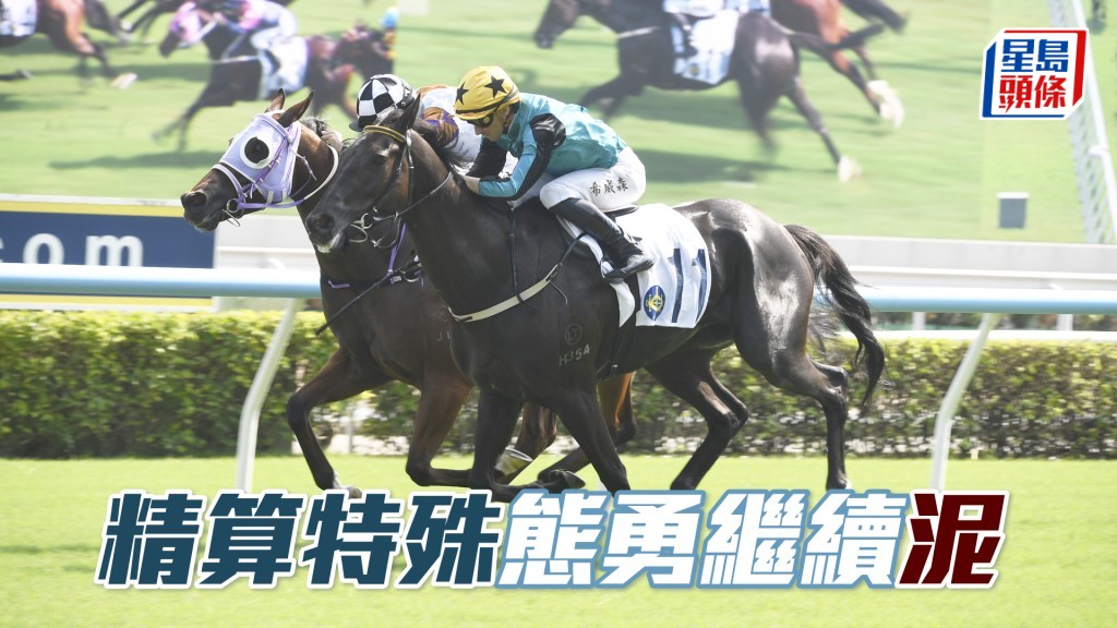 「精算特殊」近期試泥閘走勢吸引，加上跑法主動，狀態正臻勇境，值得高度注視。