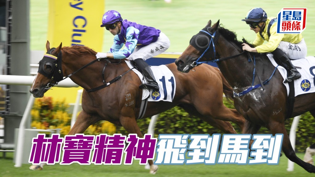 「林寶精神」飛到馬到