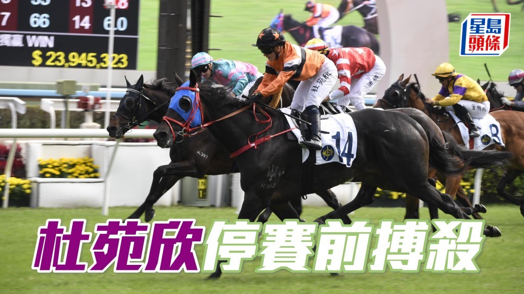 杜苑欣於周三谷戰卜定「巴閉王」、「唯美主義」、「心裡有數」、「金快飛飛」、「雙贏」(圖) 及「有心意」，且看騎者能否在停賽前贏馬。