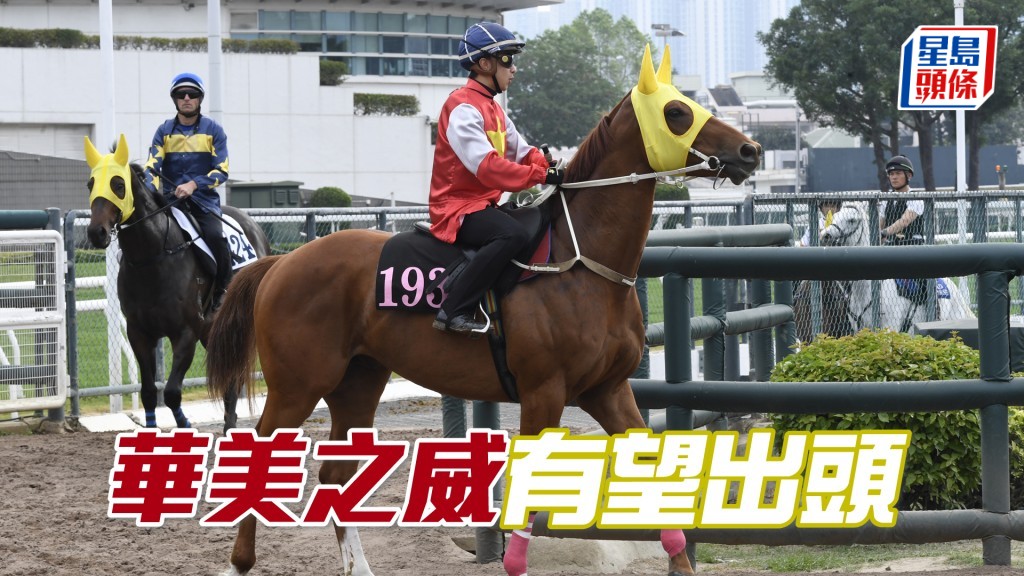 「華美之威」均速馬上季尾連場走勢接近,已有捧場價值。