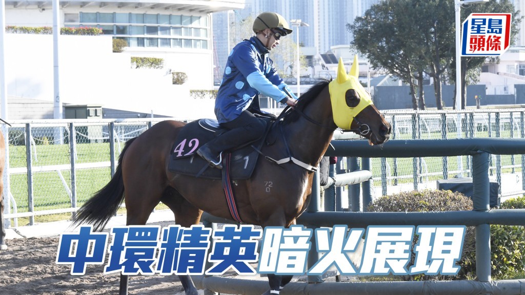 「中環精英」步順輕巧神態暢旺，朝氣勃勃重拾勇態。