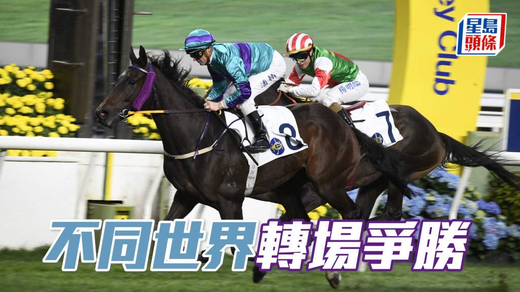 「不同世界」中距離也適合發揮，轉戰谷草配潘頓，鬥志高昂應獲勝。