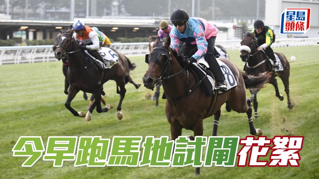  今早跑馬地舉行試閘，多位馬主撐場，觀看旗下馬匹出試。