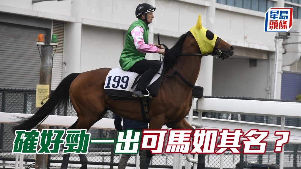 「確好勁」賽前五度由布文試閘，深受騎者重視，今場在港初出，會否馬如其名確好勁呢？