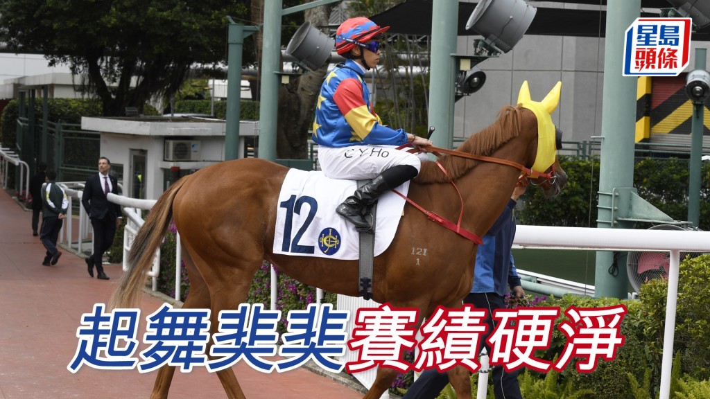 「起舞奜奜」賽績硬淨