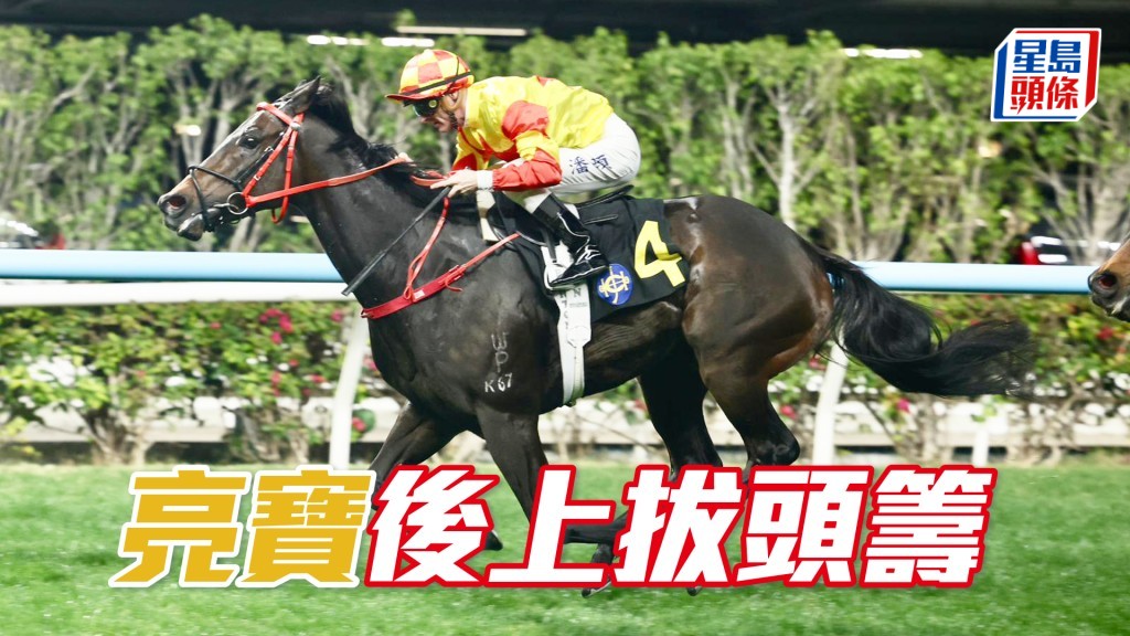 「亮寶」後上拔頭籌