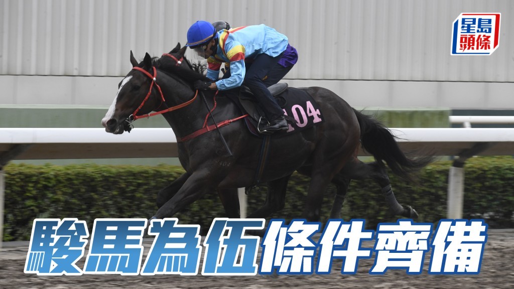 「駿馬為伍」初降四班兼強配布文，有利條件齊備，實屬半冷膽佳選。