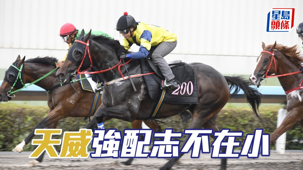 「天威」前仗水準高，今次打皇牌報名兼配布文，志不在小。