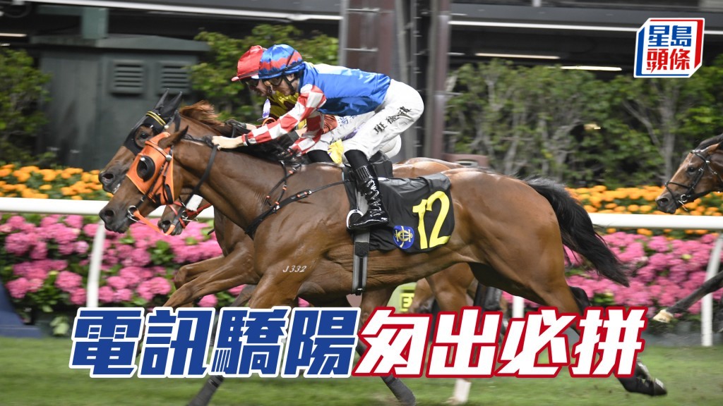 「电讯骄阳」上仗休出追劲强横，这次增程志不在小。