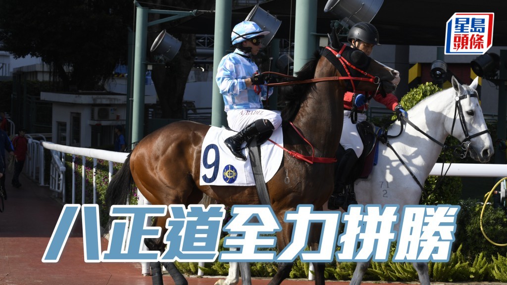 「八正道」明晚出戰第二場四班一哩。