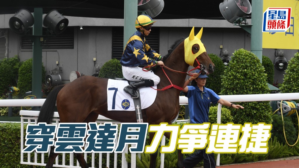 「穿雲達月」上仗在直路賽已打開勝門。
