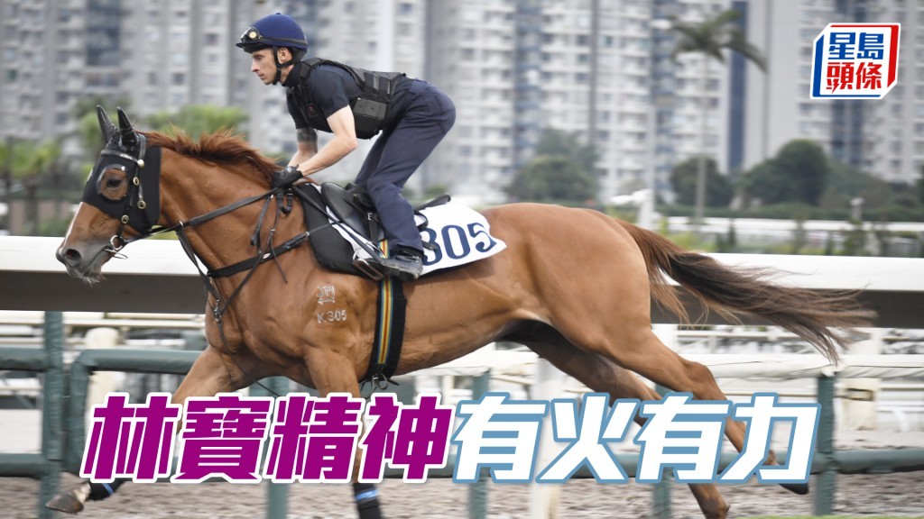 「林寶精神」走勢硬朗身喼得靚，勇態保持。