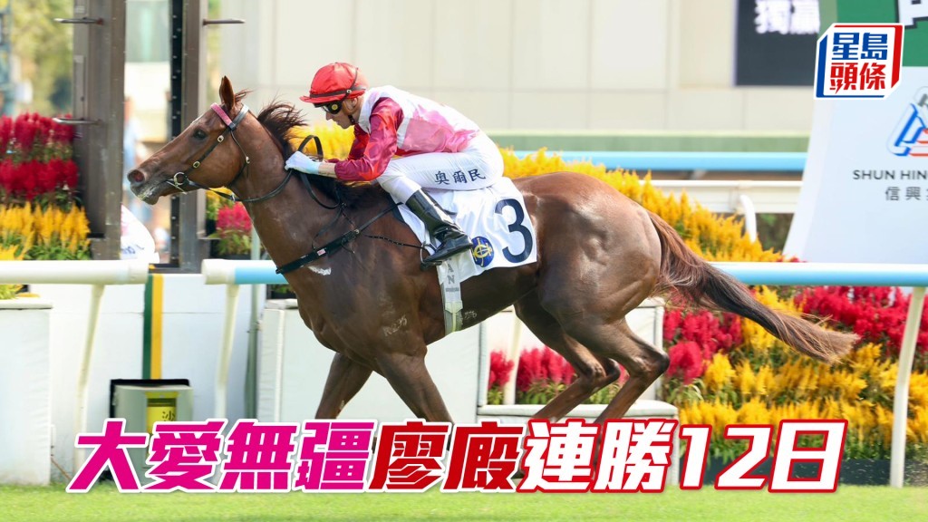 「大愛無疆」廖廄連勝12日