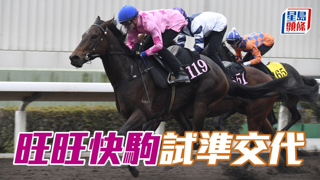 「旺旺快駒」(圖) 今次除眼罩排外檔，估計會沿用309的跑法，除非偏差極不利追，否則應有極大威脅。