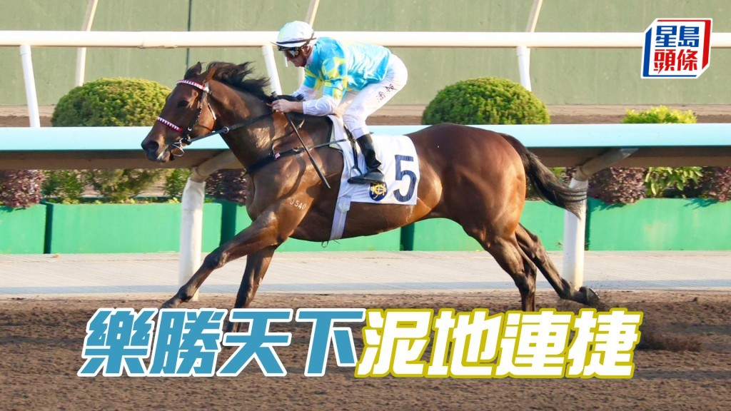 「乐胜天下」泥地连捷