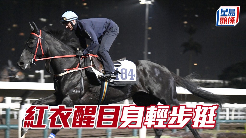 「红衣醒目」依然似样似样，论态合格有余。