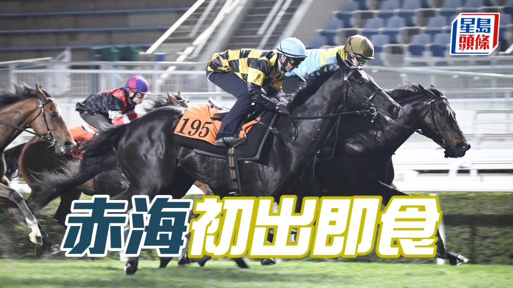 「赤海」試閘一放到底，初出有權掃晒。