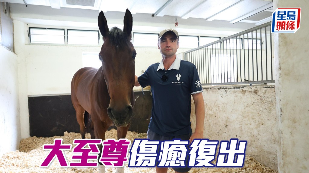 「大至尊」傷癒復出。