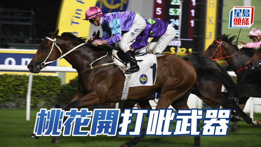 「桃花開」打吡武器。