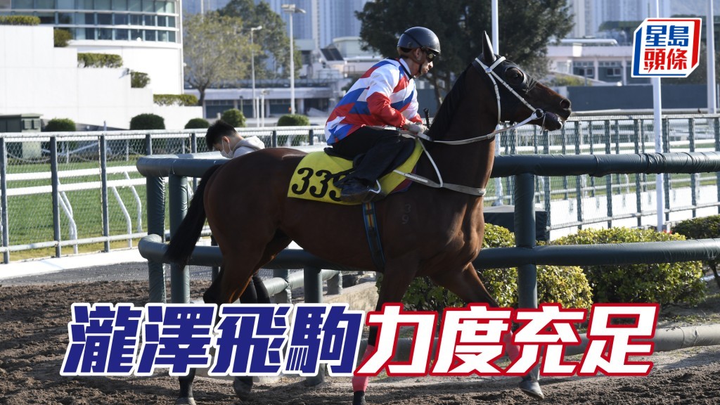 「泷泽飞驹」火气不俗状态对办。