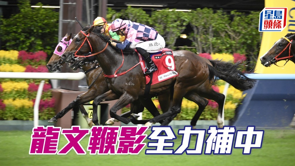 「龙文鞭影」今次改配麦道朗主辔，应该有很大机会补中。