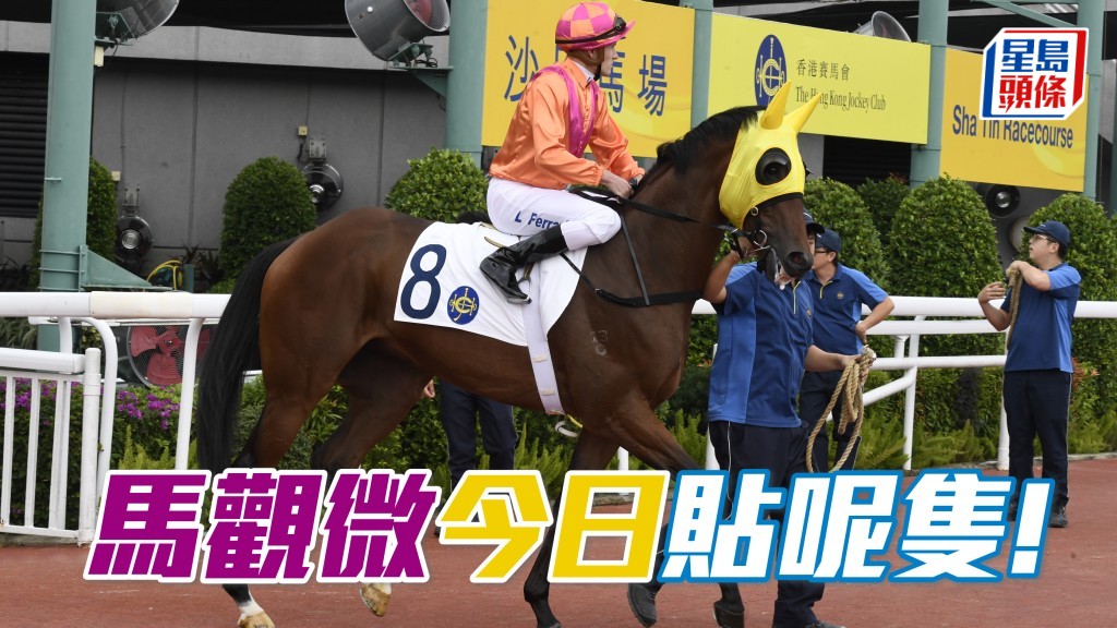 「勁沙塵」戰意高昂