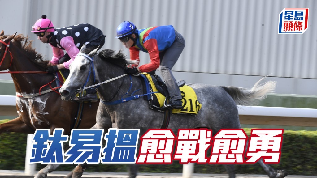 「鈦易搵」身好靚步輕爽，神態活潑力度充足。