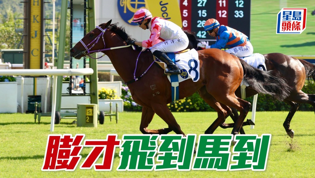 「膨才」飛到馬到
