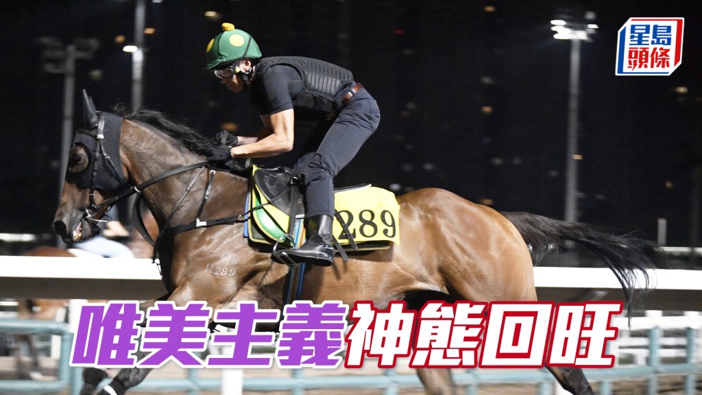 「唯美主義」步順輕快力度唔差，去番最佳時候。