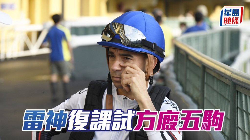 昨朝莫雷拉替方廄五匹參戰馬在內圈踱步。