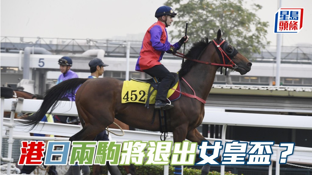 馬場浮世繪｜港日兩駒將退出女皇盃？