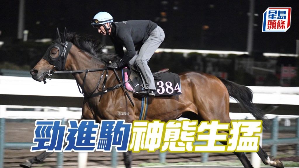 「勁進駒」沿途捉到實心火湧現，去番最佳時候。