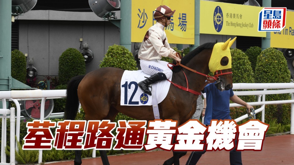 「荃程路通」回師千四米,配上黃寶妮負磅輕飄飄,屬交代黃金機會。