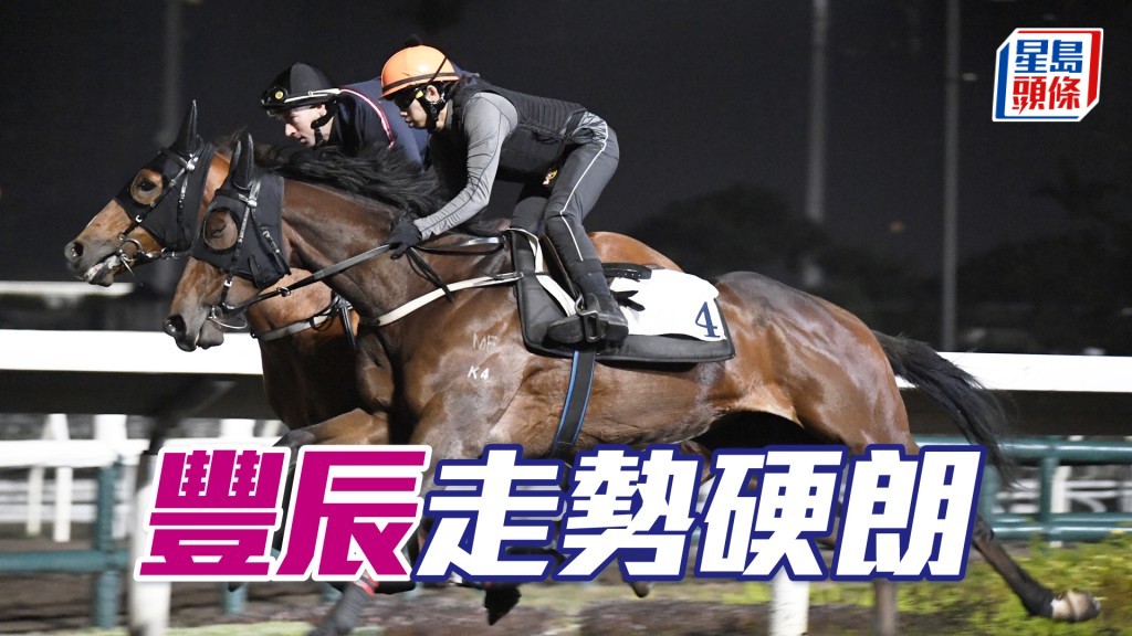 「豐辰」馬身實淨毛色油潤，長期呈勇體力未減。