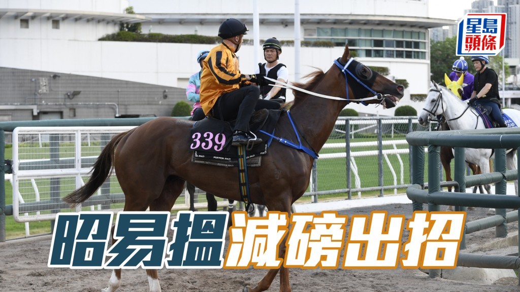 「昭易搵」已適應三班步速,今次搵黃智弘減磅尾出招。