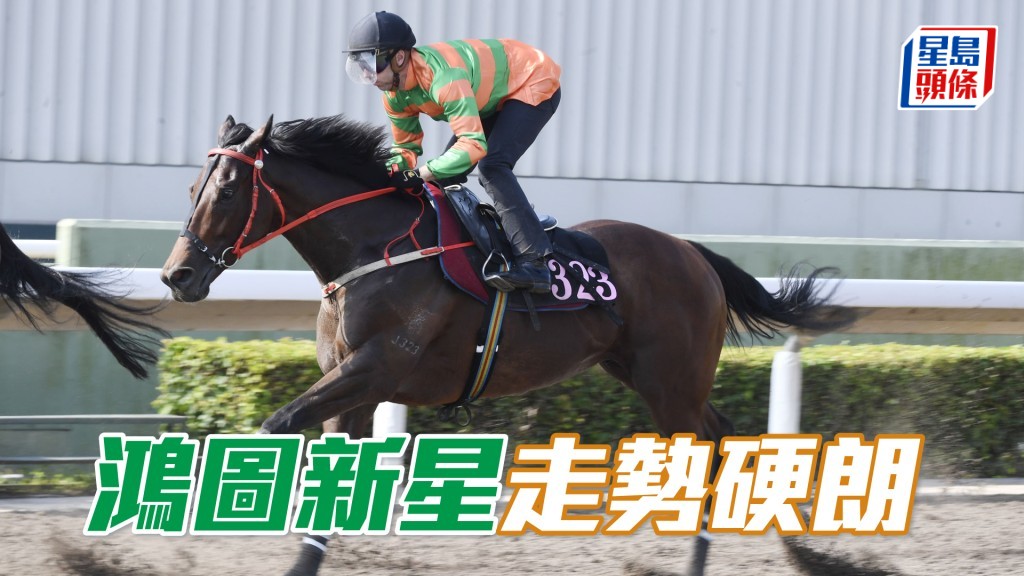 「鴻圖新星」晨課之星依舊試得好，外觀亦討好。