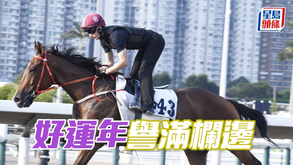 「好運年」神態自若，身靚步爽力度充足。