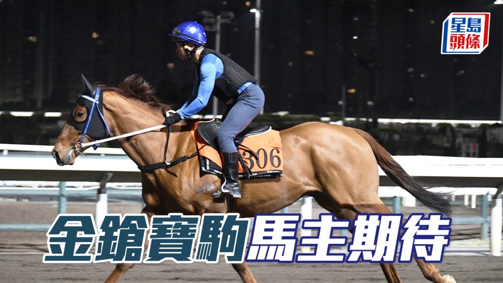 「金鎗宝驹」明天将在港初出，角逐头场千二米新马赛。