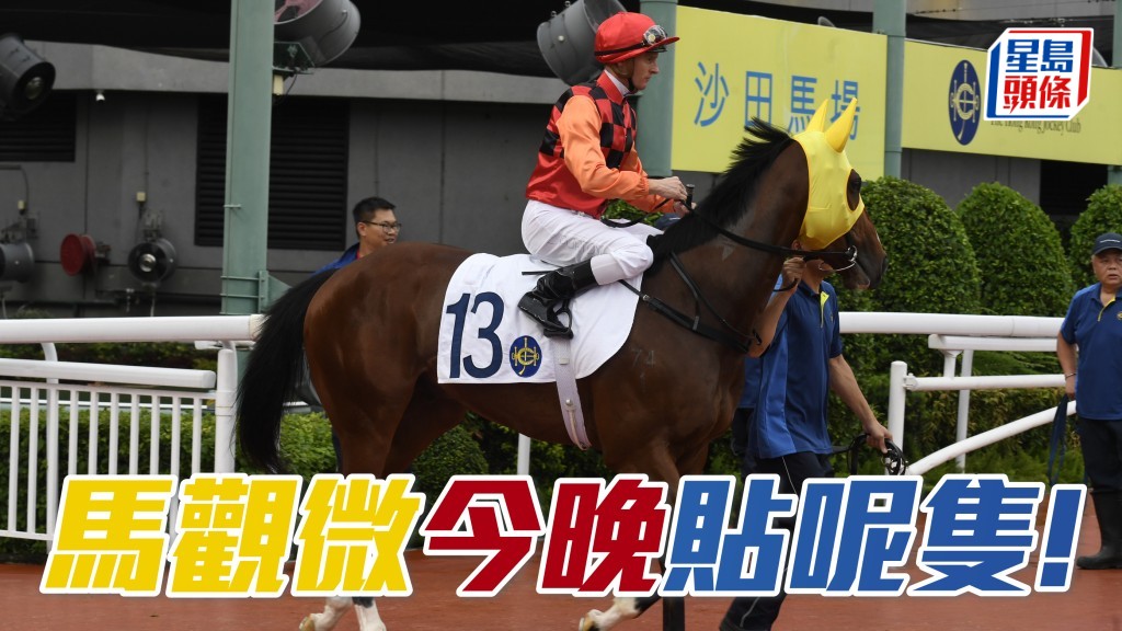 「飞跃成就」贺枪实弹