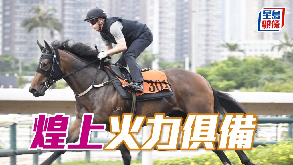 「煌上」神態專注馬身脹卜卜，不斷進步充滿好感。