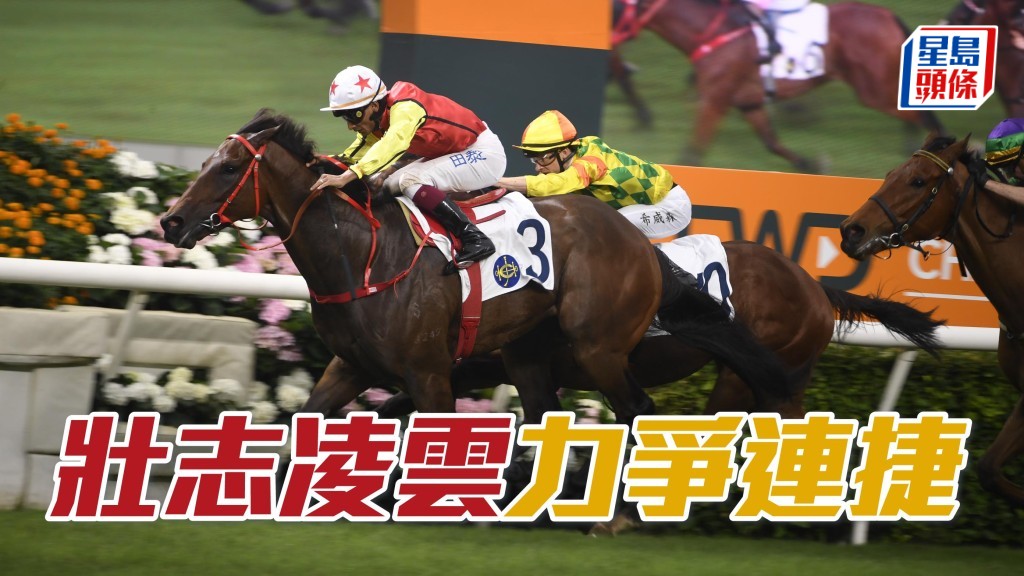 羅富全旗下的三歲澳洲自購馬「壯志凌雲」，周日將出爭第十場力爭連捷。