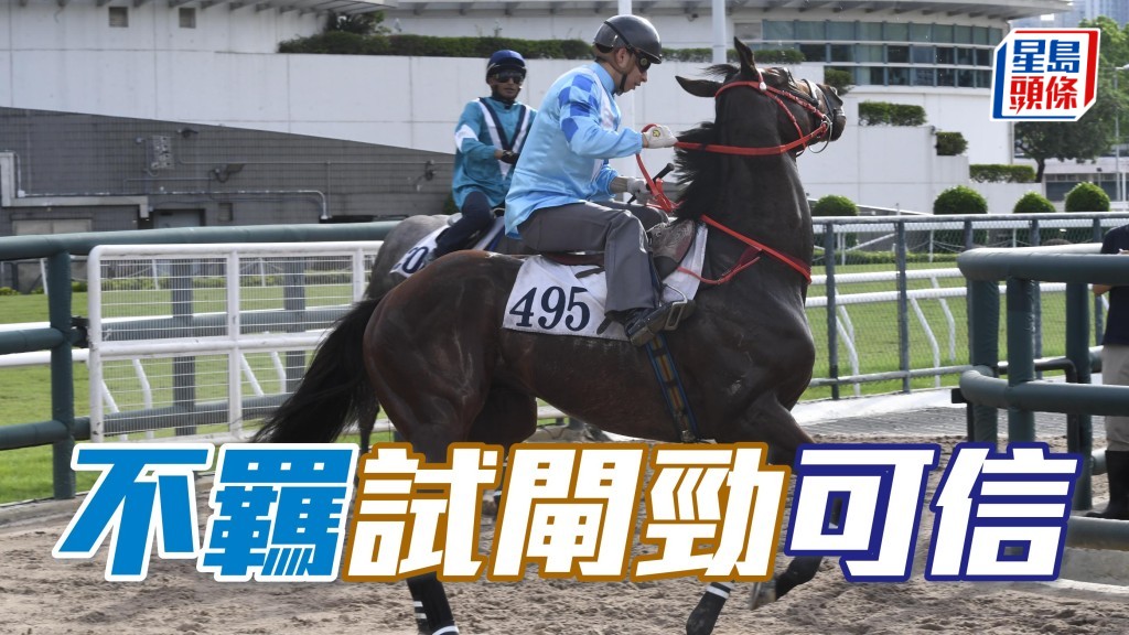 經常說，葉廄那些試閘勁到不似真的馬，真的可信，所以今次「不羈」(圖)，我信！