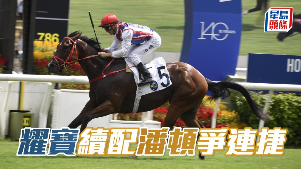 名人許晉亨和其大美人太太李嘉欣都是馬主，許晉亨名下的「耀寶」(圖) 將在周六沙田上陣，續由潘頓操刀。