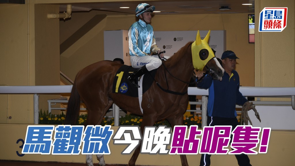 馬觀微全日心水│「決一劍」利刃出鞘