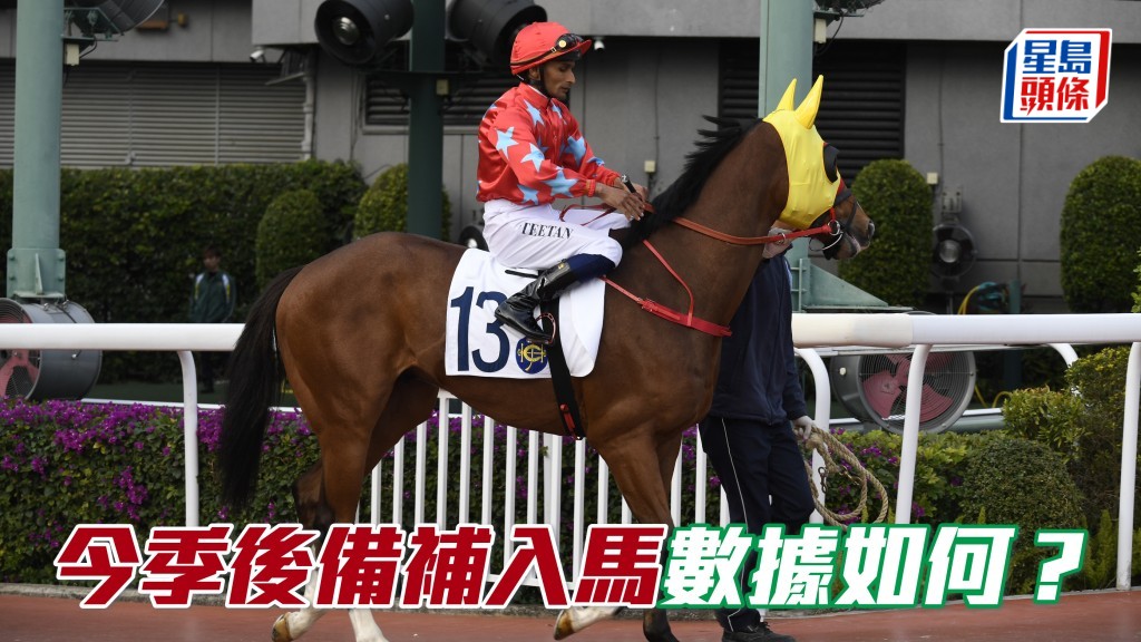 今季後備補入馬最叻第三