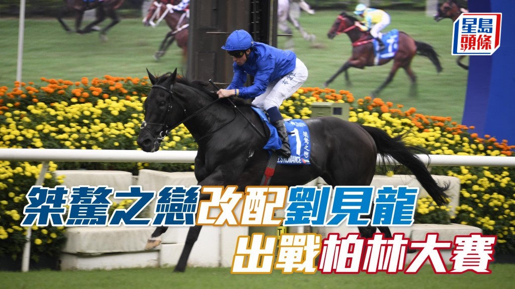 二二年柏林大賽冠軍「桀驁之戀」(圖),已經落實出戰,並且交由目前在英國騎師龍虎榜排第二,十九歲騎師劉見龍主轡。
