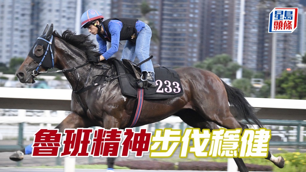 「魯班精神」神色火氣都唔差，外觀亦討好身壯色潤。