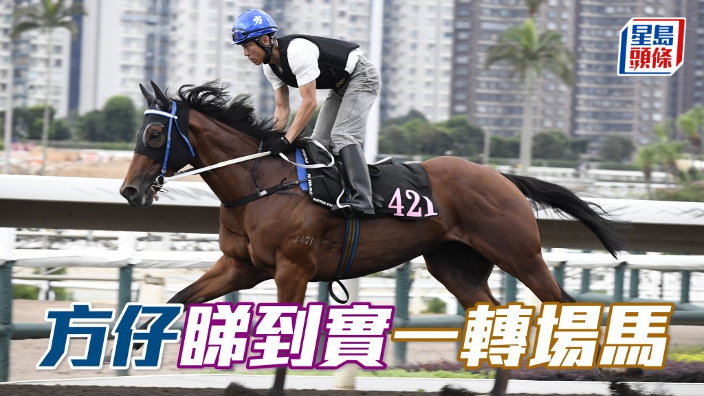 「仁仁有餘」今朝出跳既交出好走勢,方仔並企定定在跑道口睇到實。(資料圖片)