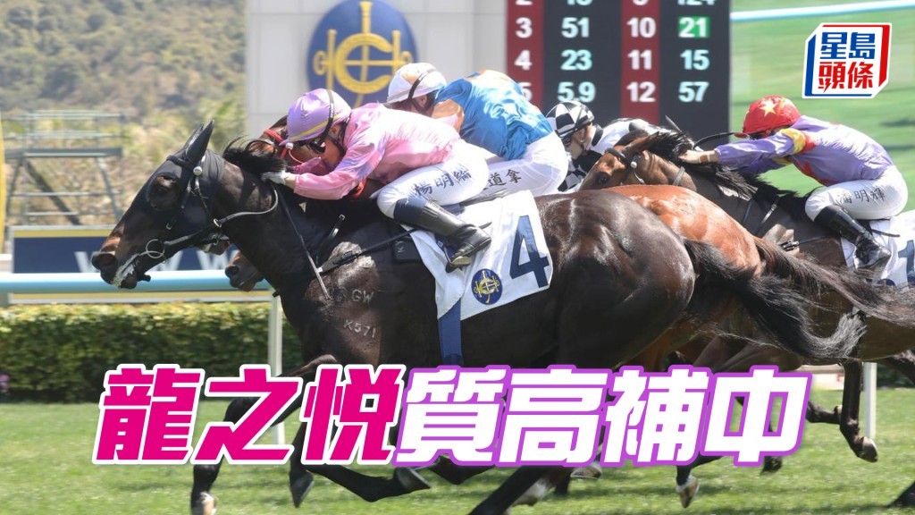 「龍之悅」上仗孭一三三磅兼走三疊都得殿軍，質高馬有權補中。