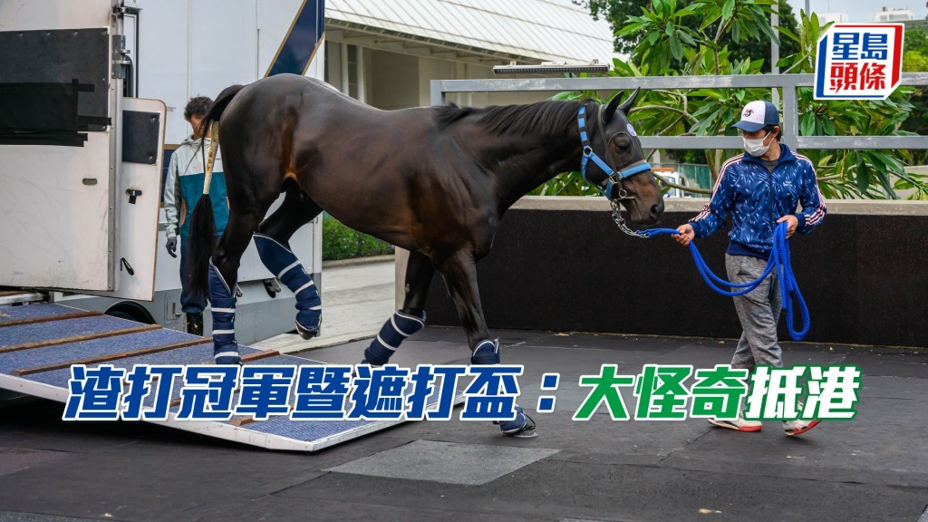 「大怪奇」